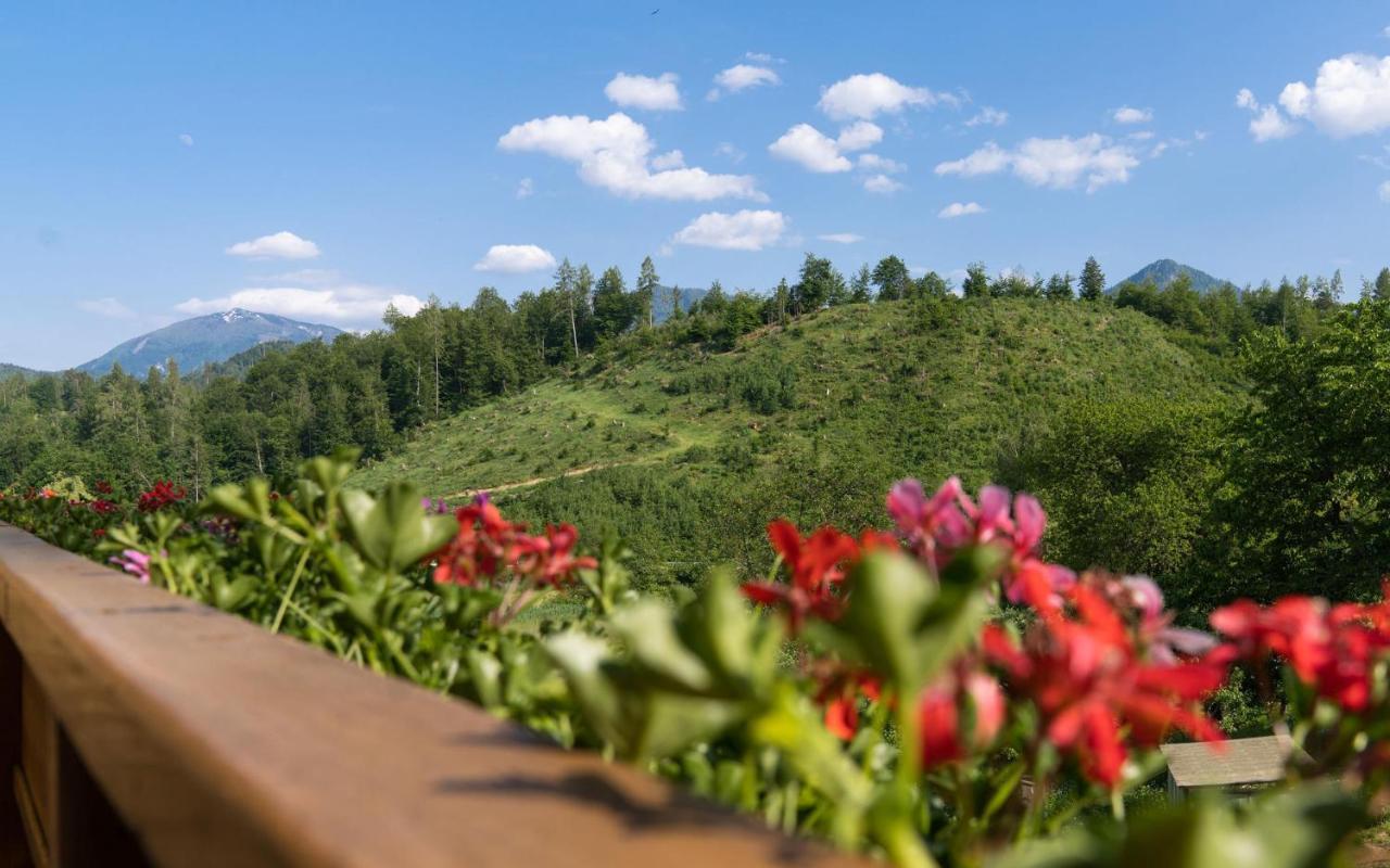 B&B Goesselsdorfer Seeblick Sittersdorf Exteriér fotografie